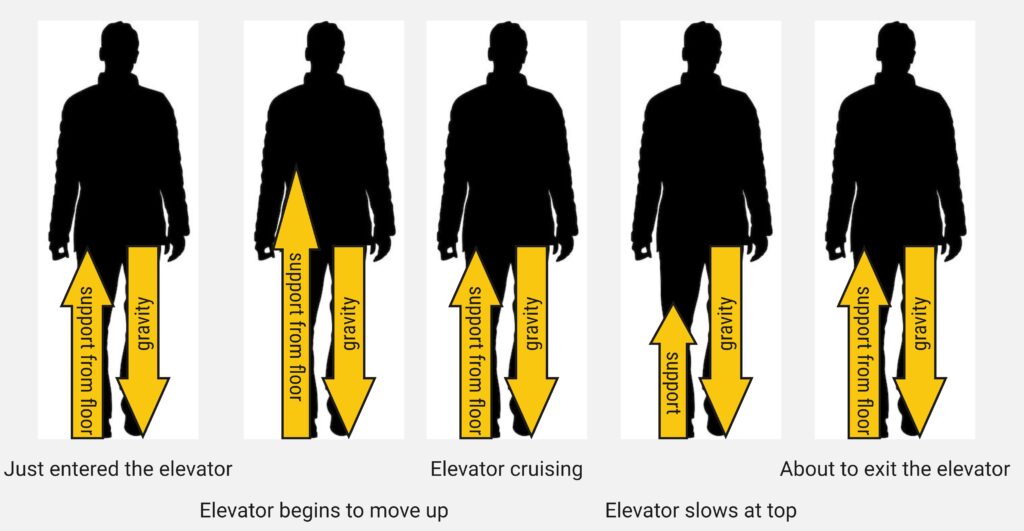 a diagram showing the relative balance/imbalance of forces on a person during an elevator ride